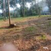 Land for sale is suitable for commercial buildings